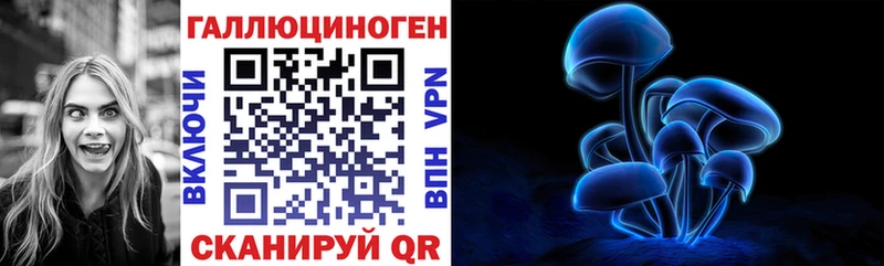 наркотики  Кольчугино  Псилоцибиновые грибы Magic Shrooms 